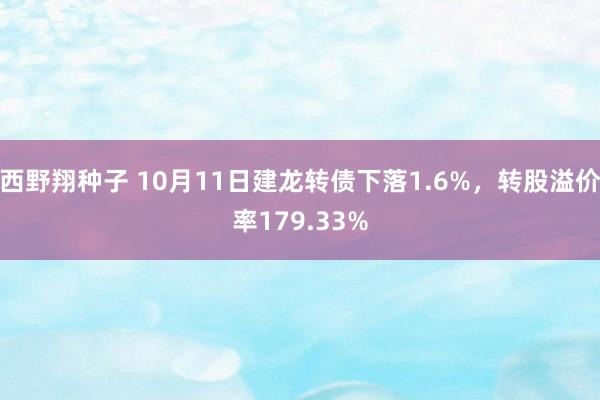 西野翔种子 10月11日建龙转债下落1.6%,转股溢价率179.33%