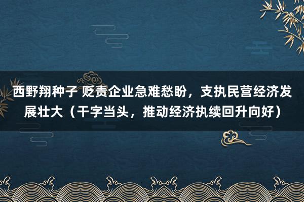 西野翔种子 贬责企业急难愁盼，支执民营经济发展壮大（干字当头，推动经济执续回升向好）