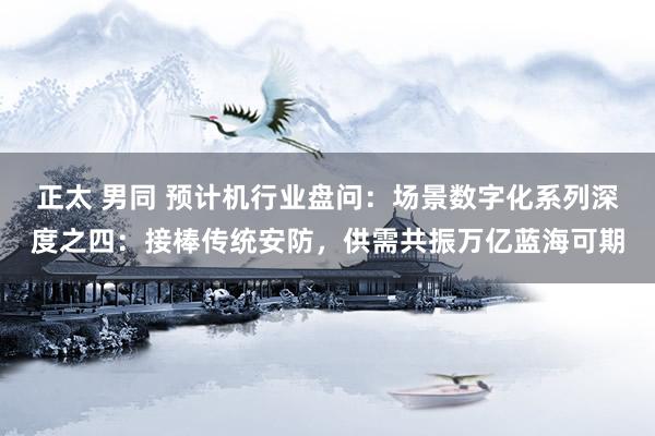 正太 男同 预计机行业盘问:场景数字化系列深度之四:接棒传统安防,供需共振万亿蓝海可期