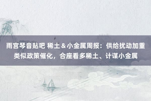 雨宫琴音贴吧 稀土&小金属周报:供给扰动加重类似政策催化,合座看多稀土、计谋小金属