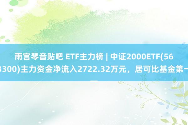 雨宫琴音贴吧 ETF主力榜 | 中证2000ETF(563300)主力资金净流入2722.32万元，居可比基金第一