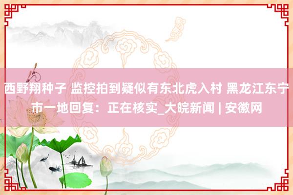 西野翔种子 监控拍到疑似有东北虎入村 黑龙江东宁市一地回复：正在核实_大皖新闻 | 安徽网