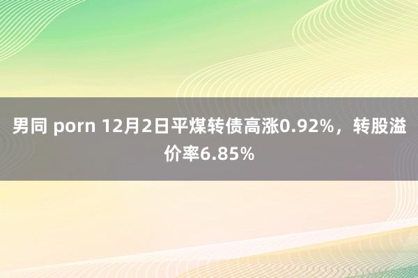 男同 porn 12月2日平煤转债高涨0.92%，转股溢价率6.85%