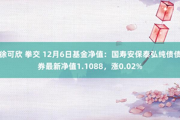 徐可欣 拳交 12月6日基金净值：国寿安保泰弘纯债债券最新净值1.1088，涨0.02%