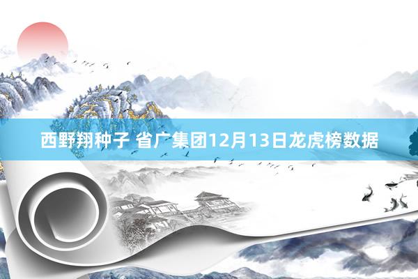 西野翔种子 省广集团12月13日龙虎榜数据