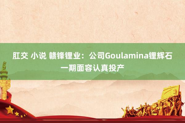 肛交 小说 赣锋锂业:公司Goulamina锂辉石一期面容认真投产