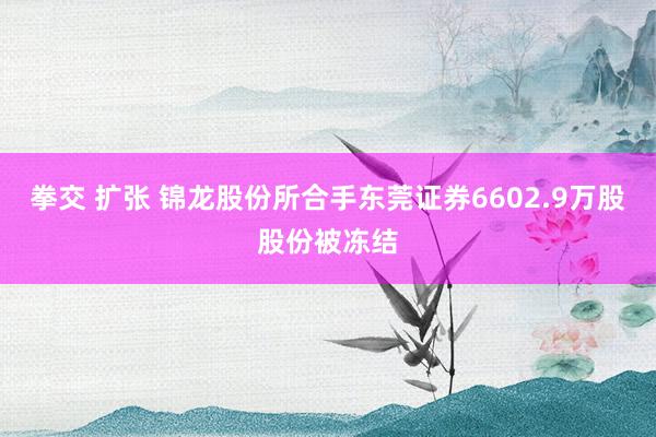 拳交 扩张 锦龙股份所合手东莞证券6602.9万股股份被冻结