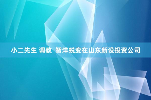 小二先生 调教  智洋蜕变在山东新设投资公司