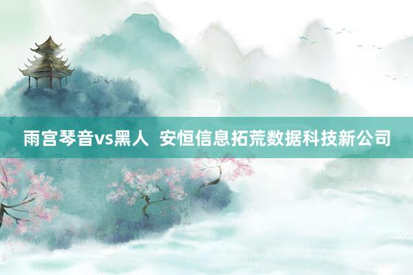 雨宫琴音vs黑人 安恒信息拓荒数据科技新公司