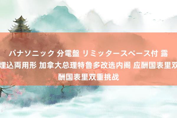 パナソニック 分電盤 リミッタースペース付 露出・半埋込両用形 加拿大总理特鲁多改选内阁 应酬国表里双重挑战