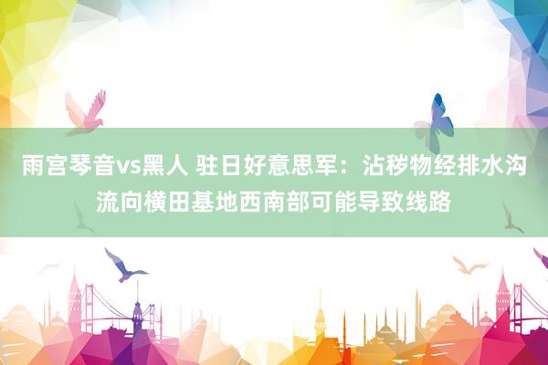雨宫琴音vs黑人 驻日好意思军：沾秽物经排水沟流向横田基地西南部可能导致线路