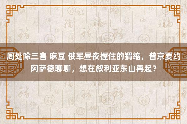 周处除三害 麻豆 俄军昼夜握住的猬缩，普京要约阿萨德聊聊，想在叙利亚东山再起？