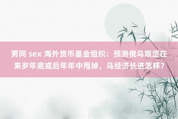 男同 sex 海外货币基金组织：预测俄乌艰涩在来岁年底或后年年中甩掉，乌经济长进怎样？