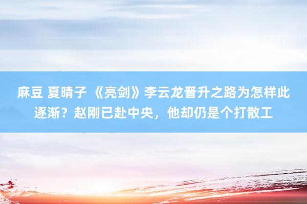 麻豆 夏晴子 《亮剑》李云龙晋升之路为怎样此逐渐？赵刚已赴中央，他却仍是个打散工