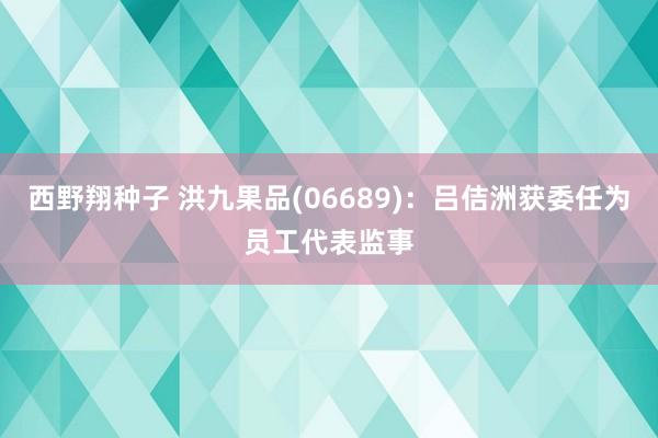 西野翔种子 洪九果品(06689)：吕佶洲获委任为员工代表监事