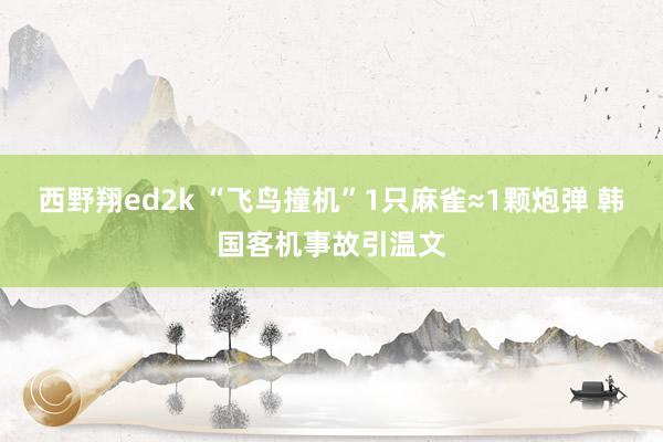 西野翔ed2k “飞鸟撞机”1只麻雀≈1颗炮弹 韩国客机事故引温文