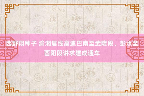 西野翔种子 渝湘复线高速巴南至武隆段、彭水至酉阳段讲求建成通车