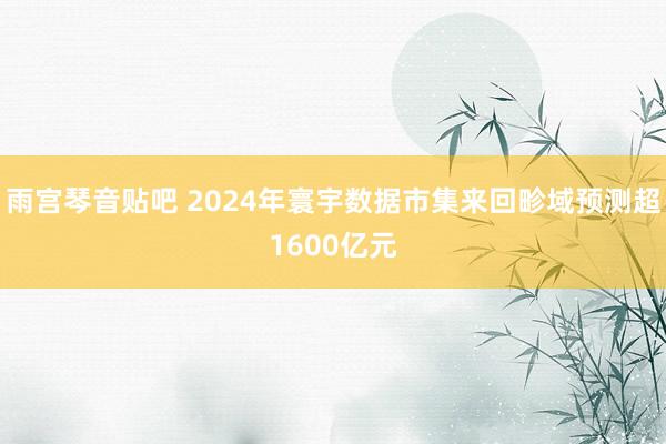 雨宫琴音贴吧 2024年寰宇数据市集来回畛域预测超1600亿元