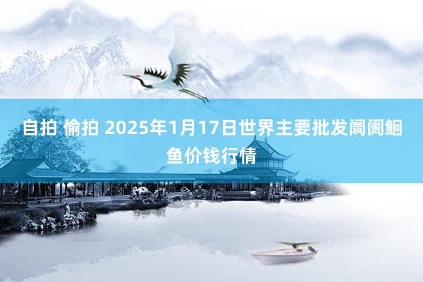 自拍 偷拍 2025年1月17日世界主要批发阛阓鮰鱼价钱行情