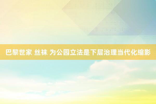 巴黎世家 丝袜 为公园立法是下层治理当代化缩影