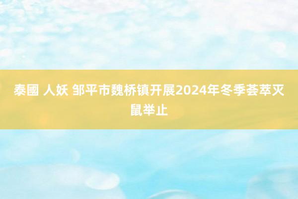 泰國 人妖 邹平市魏桥镇开展2024年冬季荟萃灭鼠举止
