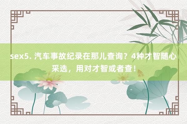 sex5. 汽车事故纪录在那儿查询？4种才智随心采选，用对才智或者查！