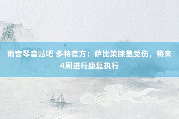 雨宫琴音贴吧 多特官方：萨比策膝盖受伤，将来4周进行康复执行