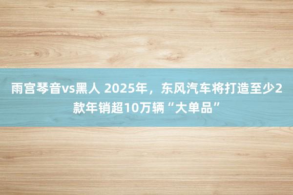 雨宫琴音vs黑人 2025年，东风汽车将打造至少2款年销超10万辆“大单品”