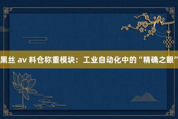 黑丝 av 料仓称重模块：工业自动化中的“精确之眼”