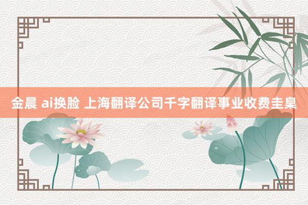 金晨 ai换脸 上海翻译公司千字翻译事业收费圭臬