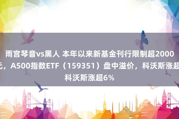 雨宫琴音vs黑人 本年以来新基金刊行限制超2000亿元，A500指数ETF（159351）盘中溢价，科沃斯涨超6%