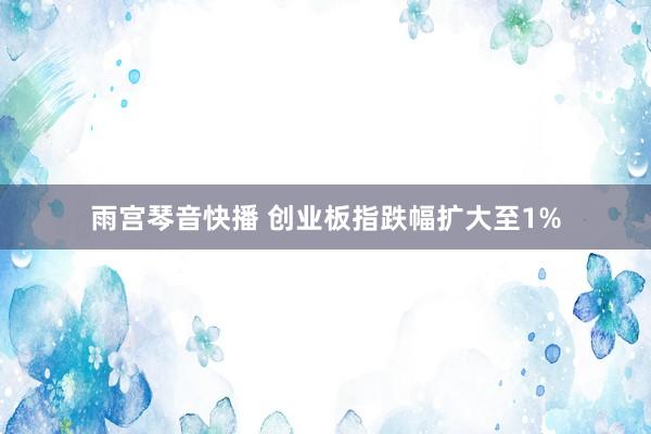 雨宫琴音快播 创业板指跌幅扩大至1%
