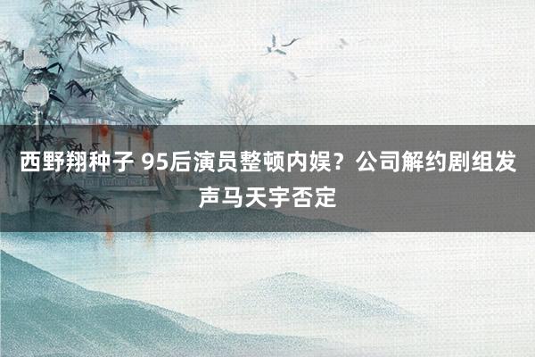 西野翔种子 95后演员整顿内娱？公司解约剧组发声马天宇否定