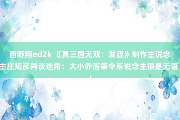 西野翔ed2k 《真三国无双：发源》制作主说念主庄知彦再谈选角：大小乔落第令东说念主很是无语！