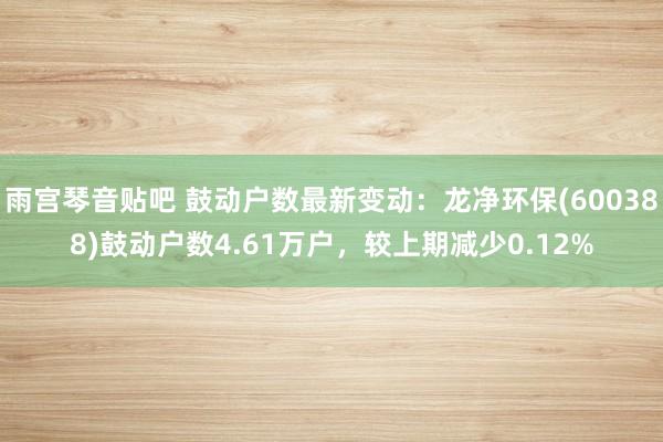 雨宫琴音贴吧 鼓动户数最新变动：龙净环保(600388)鼓动户数4.61万户，较上期减少0.12%