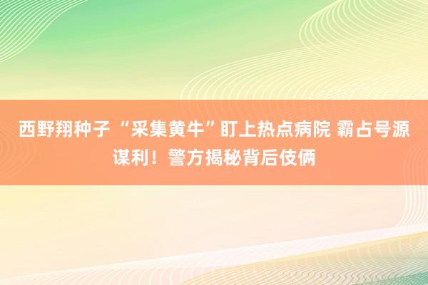 西野翔种子 “采集黄牛”盯上热点病院 霸占号源谋利！警方揭秘背后伎俩