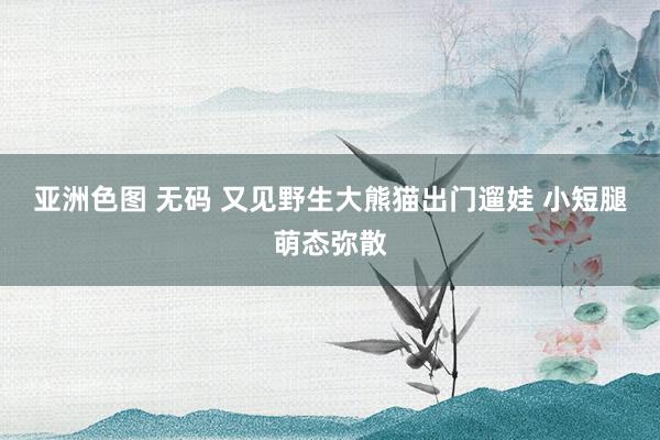 亚洲色图 无码 又见野生大熊猫出门遛娃 小短腿萌态弥散