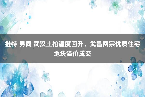 推特 男同 武汉土拍温度回升，武昌两宗优质住宅地块溢价成交