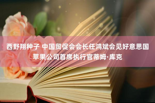 西野翔种子 中国贸促会会长任鸿斌会见好意思国苹果公司首席执行官蒂姆·库克