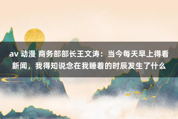 av 动漫 商务部部长王文涛：当今每天早上得看新闻，我得知说念在我睡着的时辰发生了什么