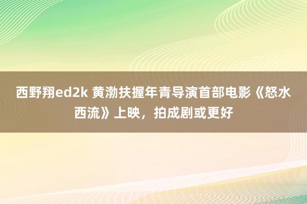 西野翔ed2k 黄渤扶握年青导演首部电影《怒水西流》上映，拍成剧或更好