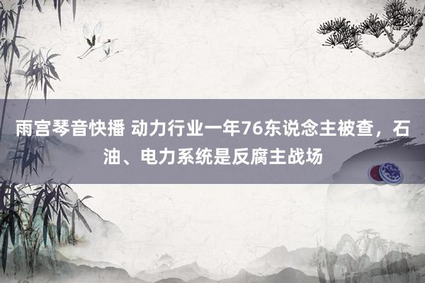 雨宫琴音快播 动力行业一年76东说念主被查，石油、电力系统是反腐主战场