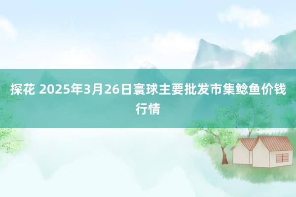 探花 2025年3月26日寰球主要批发市集鲶鱼价钱行情