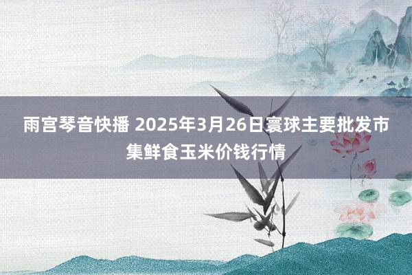 雨宫琴音快播 2025年3月26日寰球主要批发市集鲜食玉米价钱行情
