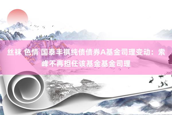 丝袜 色情 国泰丰祺纯债债券A基金司理变动：索峰不再担任该基金基金司理