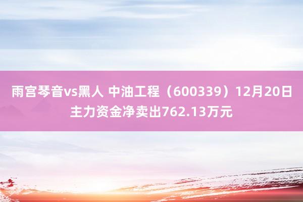 雨宫琴音vs黑人 中油工程（600339）12月20日主力资金净卖出762.13万元
