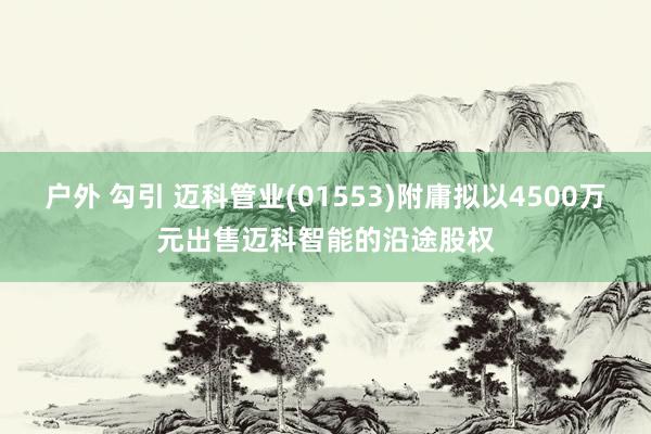 户外 勾引 迈科管业(01553)附庸拟以4500万元出售迈科智能的沿途股权