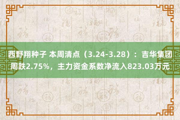西野翔种子 本周清点（3.24-3.28）：吉华集团周跌2.75%，主力资金系数净流入823.03万元