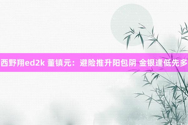 西野翔ed2k 董镇元：避险推升阳包阴 金银逢低先多