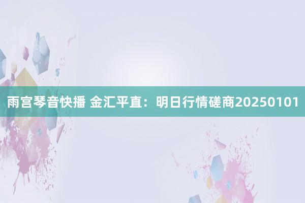 雨宫琴音快播 金汇平直：明日行情磋商20250101